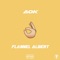 Aok - Flannel Albert lyrics