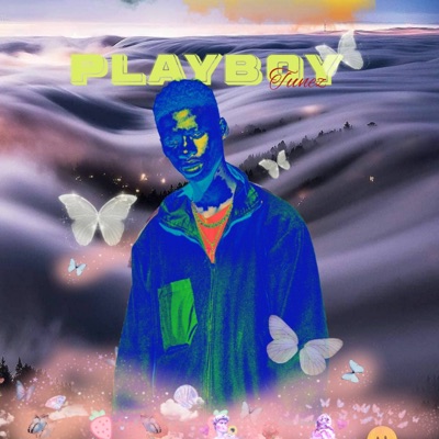Playboy Tunez - Single