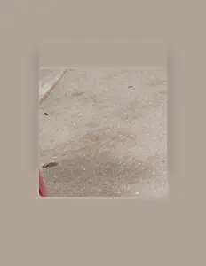 Kudaを聴いたり、ミュージックビデオを鑑賞したり、経歴やツアー日程などを確認したりしましょう！