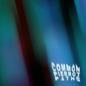 Common Pierrot Paths artwork