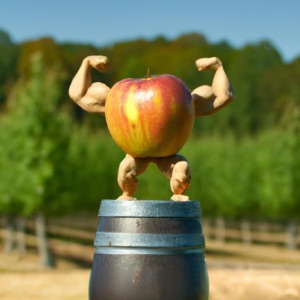 Cider (Tiny Tune) - Single