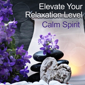 Elevate Your Relaxation Level: Calm Spirit, Emotional New Age Music, Self Motivation, Healing Benefits of Practicing Yoga Meditation, Reduce Stress