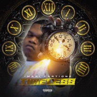 Timeless - Imari Cartione