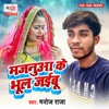 Majanua Ke Bhool Jaibu - Single