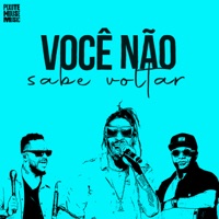 VOCE NAO SABE VOLTAR