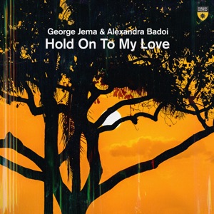 Hold on to My Love (Extended Mix)