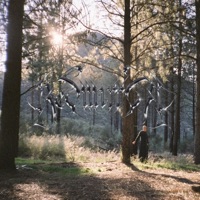 Dreamwalk - Single - Fifty Grand