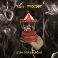 PROJECT