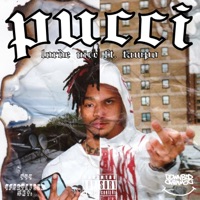 Pucci (feat. TAWPO) - Single - Lorde Vice