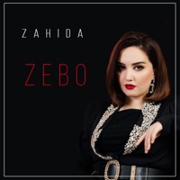 Zebo - Single - Zahida