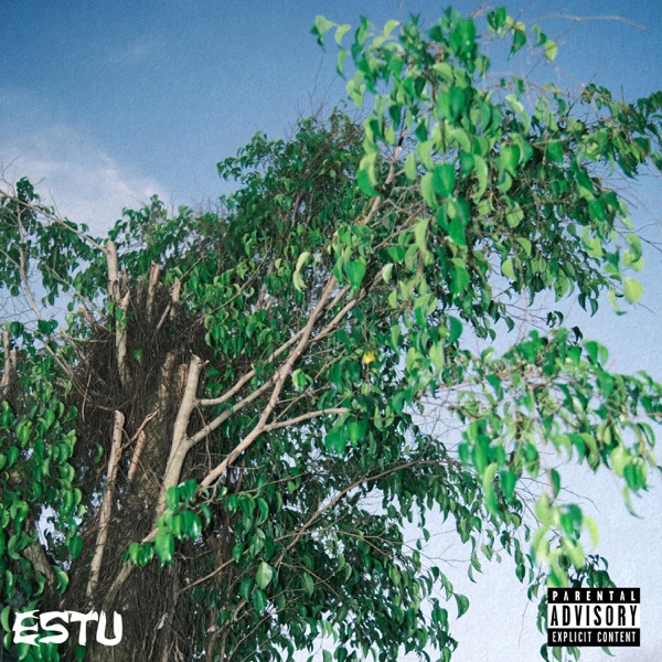 bliss / forest