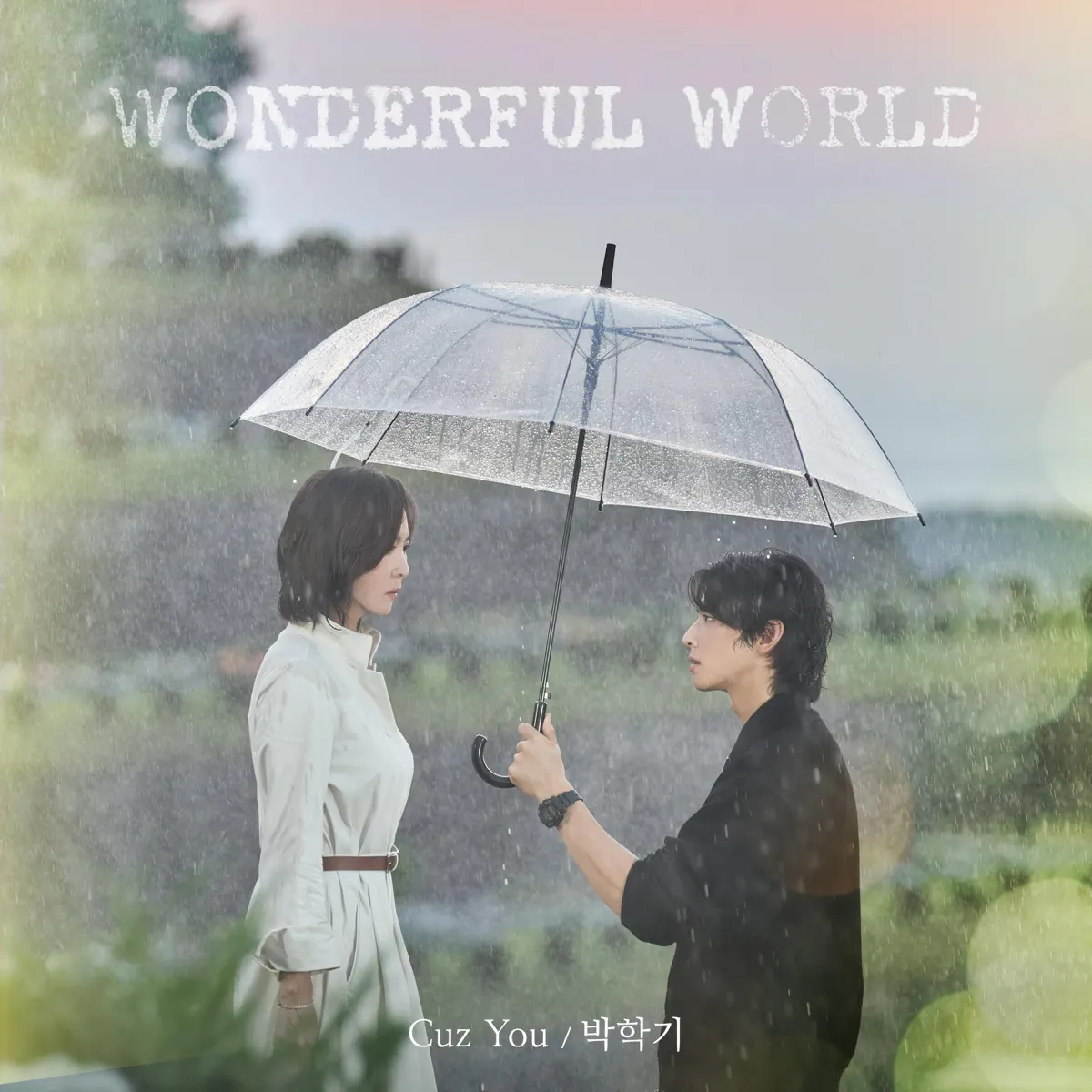 Park Haki - Wonderful World (Original Television Soundtrack), Pt.1 - Single (2024) [iTunes Plus AAC M4A]-新房子