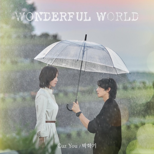 Wonderful World (Original Television Soundtrack), Pt.1 - Single