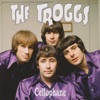 The Troggs - Love Is All Around