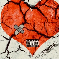 Misunderstood (feat. Lbr Robb) - Single - Terrineecia