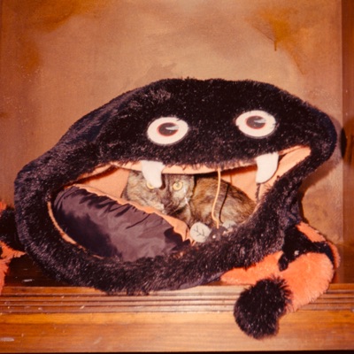 dreaming (feat. Bambii Lamb & Tillman) - Single