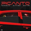 PICANTO (feat. Zlatan & ECko Miles)
