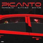 Picanto (feat. Zlatan & ECko Miles) artwork