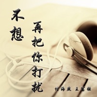 不想再把你打扰 (DJ伟然版) - Single - 王富强 & 付海燕