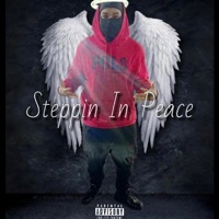 Steppin In Peace - Single - PMG Flex