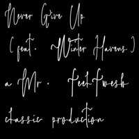 Never Give Up (feat. Winter Havens) - Single - Mrfeelfwesh
