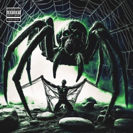 Spider Web D4VEMON