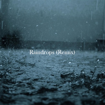 Raindrops (Remix) - Single