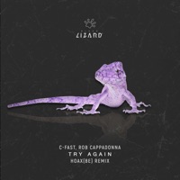 Try Again (Hoax (Be) Remix) - Single - C-Fast & Rob Cappadonna