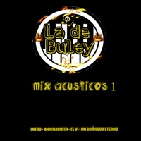 Mix Acusticos: Intro / Muchachita / Te Ví / Un Soñador Eterno - Single - La De Buley
