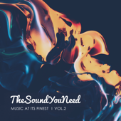 TheSoundYouNeed, Vol. 2 - Various Artists