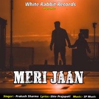 Meri Jaan - Single - Prakash Sharma