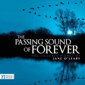 The Passing Sound of Forever: III. — artwork