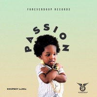 Passion - Single - Doupboy Laska