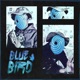 BLUEBIRD cover art