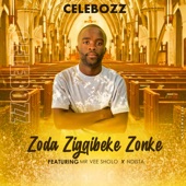Zoda Zigqibeke Zonke (feat. Mr Vee Sholo & Ndista) artwork