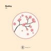 Destiny - Single