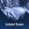 Ambient Drone - Reading Background Music Playlist lyrics