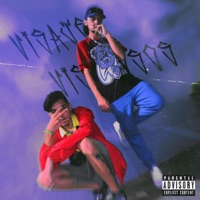 Visajes Visajosos (feat. THE MAD420) - Single - Yung Teo