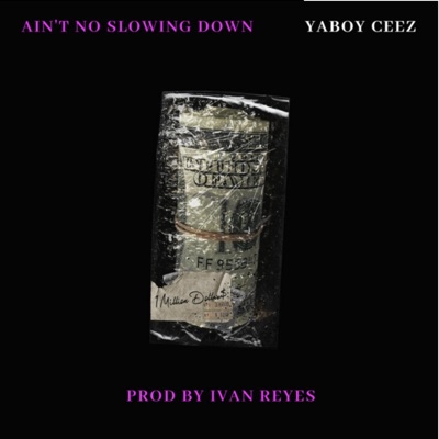 Aint No Slowing Down - Single