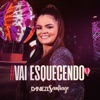 Vai Esquecendo - Single