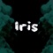 Iris - pvtch lyrics