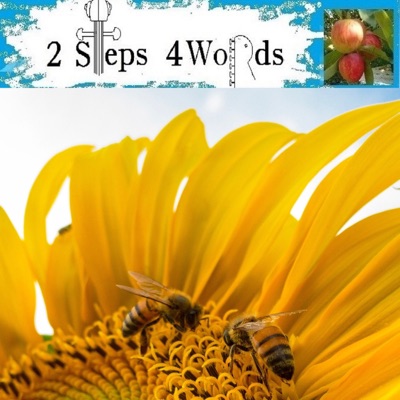 Chichele (600 Years) - Single