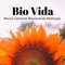 Meditação Clube - Alma lyrics