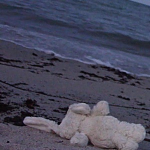 Everything Stays - Single