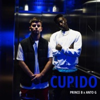 Cupido Prince B (feat. Anto G) - Single - THE NORTH GANG