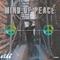 Mind of Peace - Pavopapi lyrics