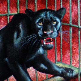 RAGE OUT the CAGE (feat. Hunter Amazing) Heavy Traffick