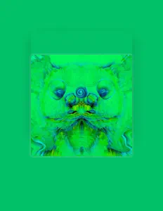 Listen to Wonky Wombat, watch music videos, read bio, see tour dates & more!