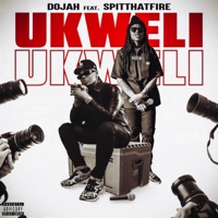 UKWELI (feat. Spitthatfire) - Single - Dojah
