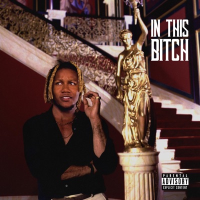 In This Bitch - Single